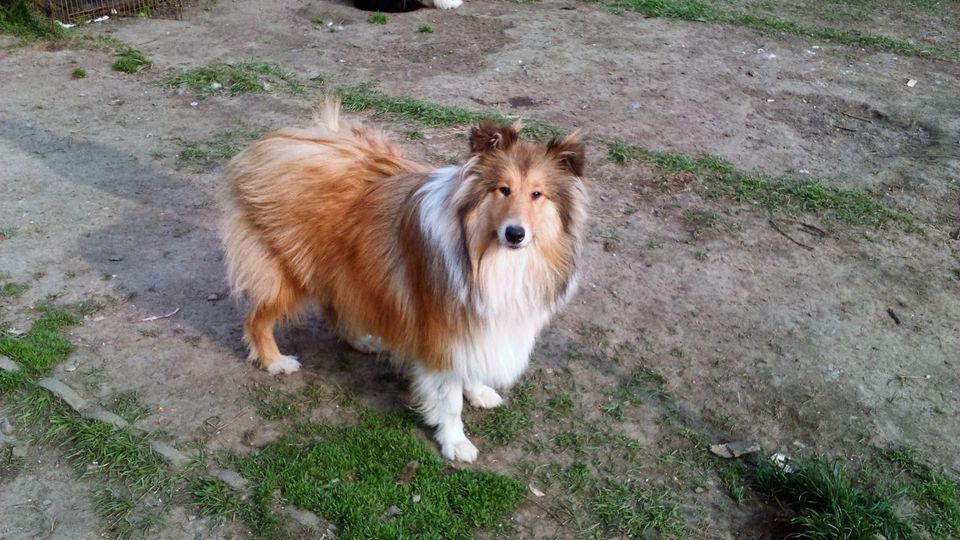 Miel De L'Oustaou de Sandy