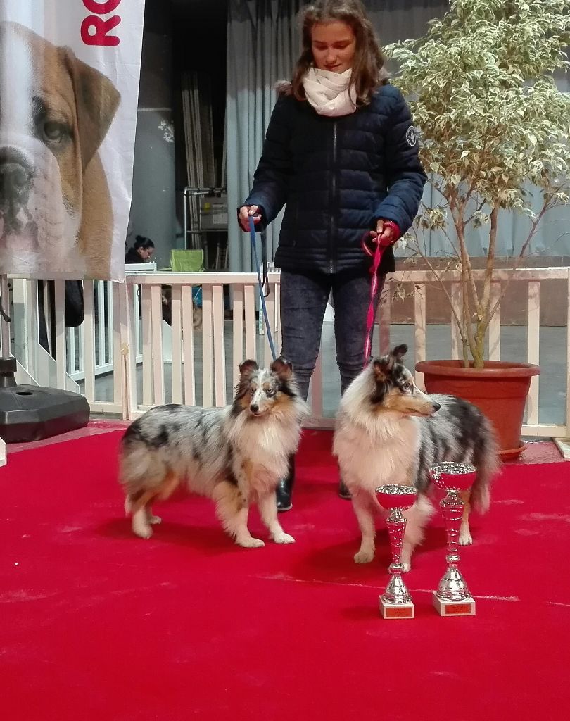 De L'Oustaou de Sandy - Exposition de Martigues CACIB - CACS.